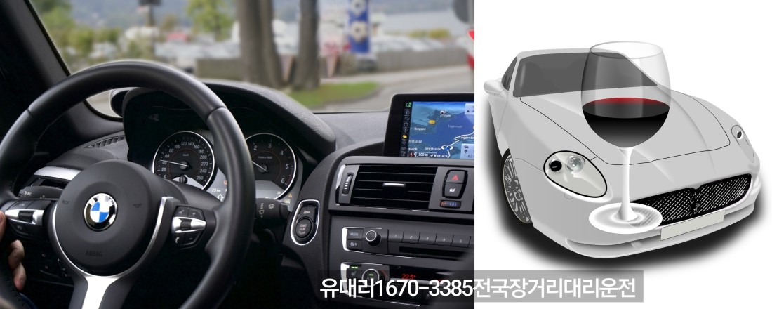 골프장대리운전 일일기사 일일대리운전 운전대행